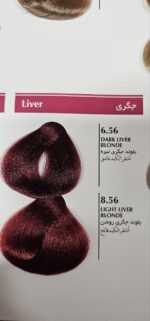 رنگ موی بلگا رنگ های جگری - Image 2