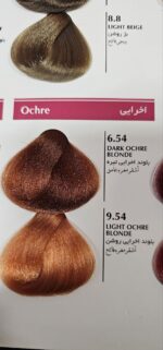 رنگ موی بلگا رنگ های اخرایی - Image 2