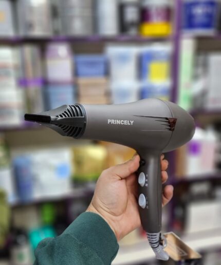 سشوار پرنسلی مدل PR249/1AT قدرت 2400 وات 3317