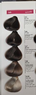 رنگ موی بلگا رنگ های خاکستری - Image 2